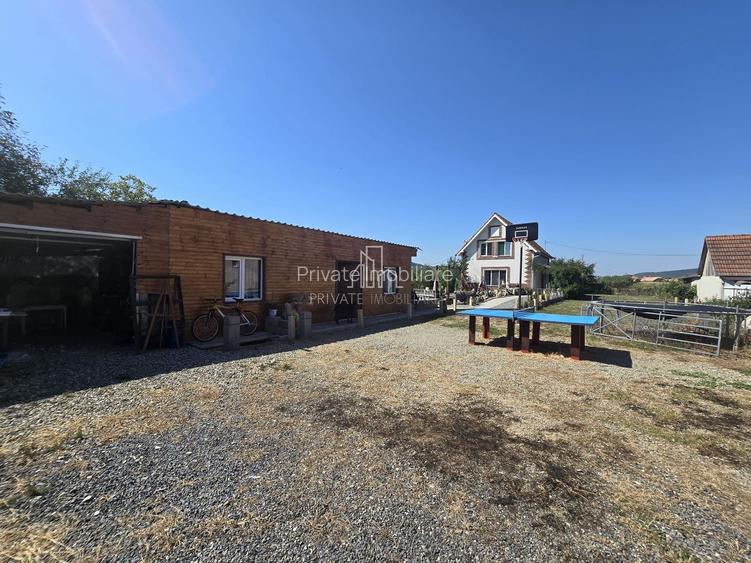 Casa cu piscina, 3450 Mp suprafata teren, Albesti, Mures - 22