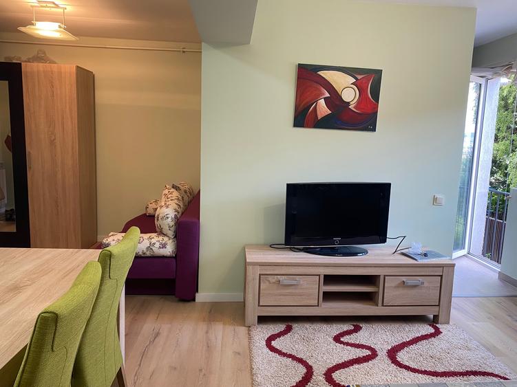 Apartament  1 camera+living Nicolae Dragan, Buna Ziua