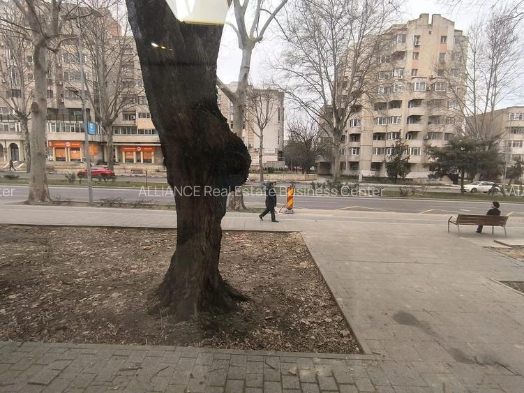 CAPITOL - Bdul Mamaia parter de vila stradal! - 8