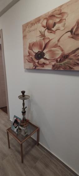 Vila P+1 Lazu