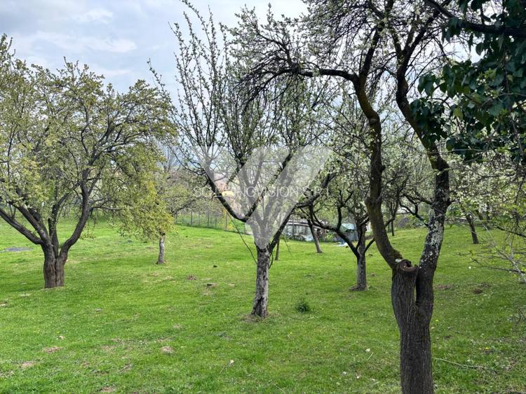 Teren de vanzare - Saliste - Intravilan  -  430 MP - 4