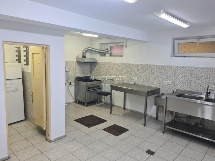 Inchiriere parter vila 250mp zona Basarabia / Arena Nationala - 11