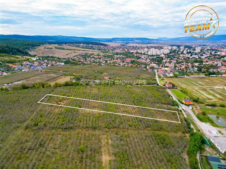 Teren extravilan, 6.510mp, Simeria, Sfantu Gheorghe - 2
