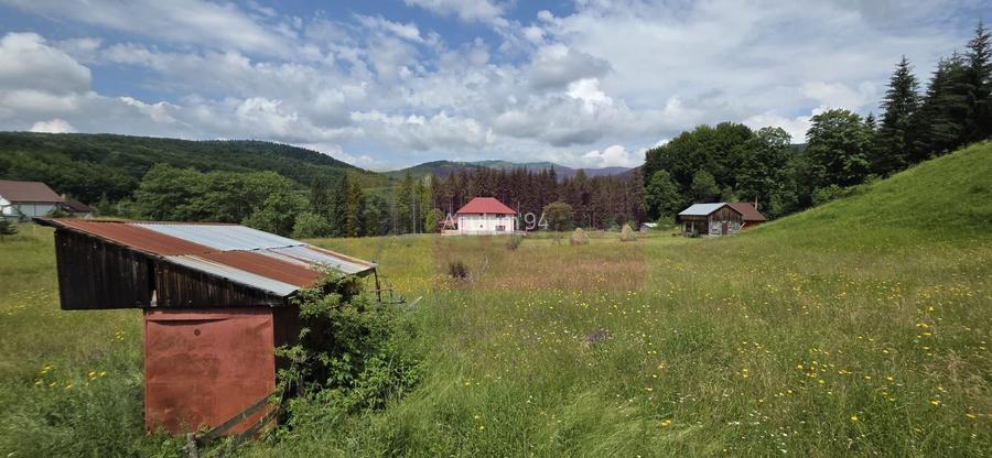 Vila din padure in Valea Doftanei - 35