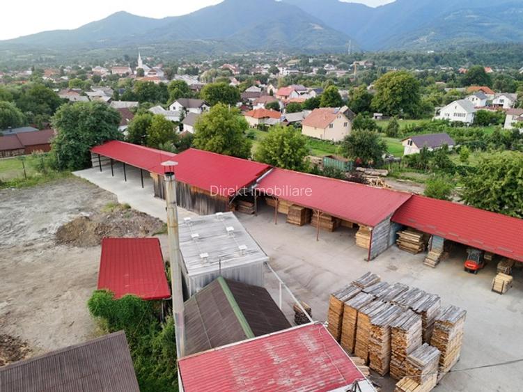 Fabrică de cherestea complet utilată & centru logistic - 3
