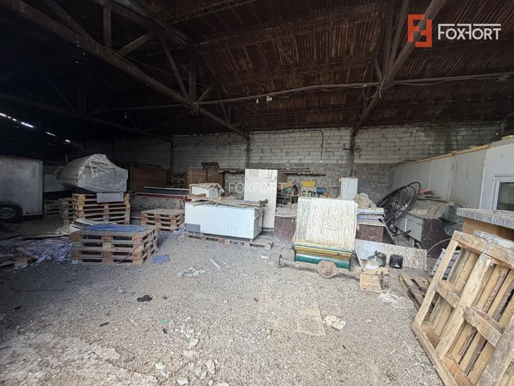 Depozit de vanzare cu suprafata utila de 450 mp - Ortisoara - 5