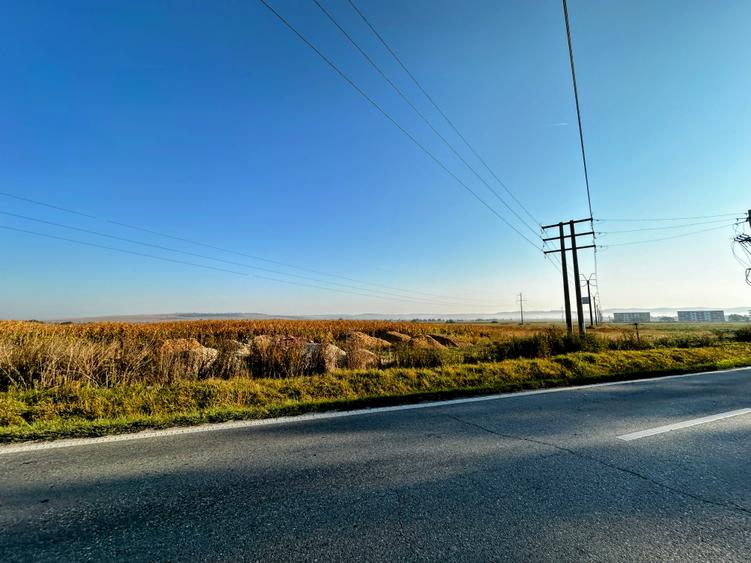 Vanzare teren 10.000mp Calea Surii Mici, direct de la proprietar!