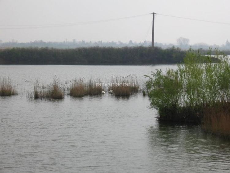 TEREN CORNESTI DB 2600mp; Butimanu- DESCHiIDERE LAC OCHIUL  BOULUI 2 - 3