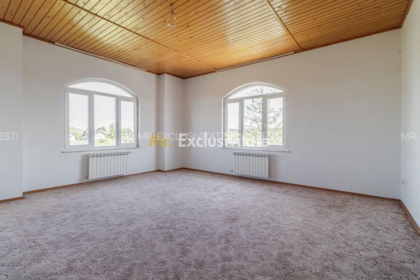 Domeniu privat 5.000 mp, cu reședință de 625 mp și piscină, Corbeanca - 32