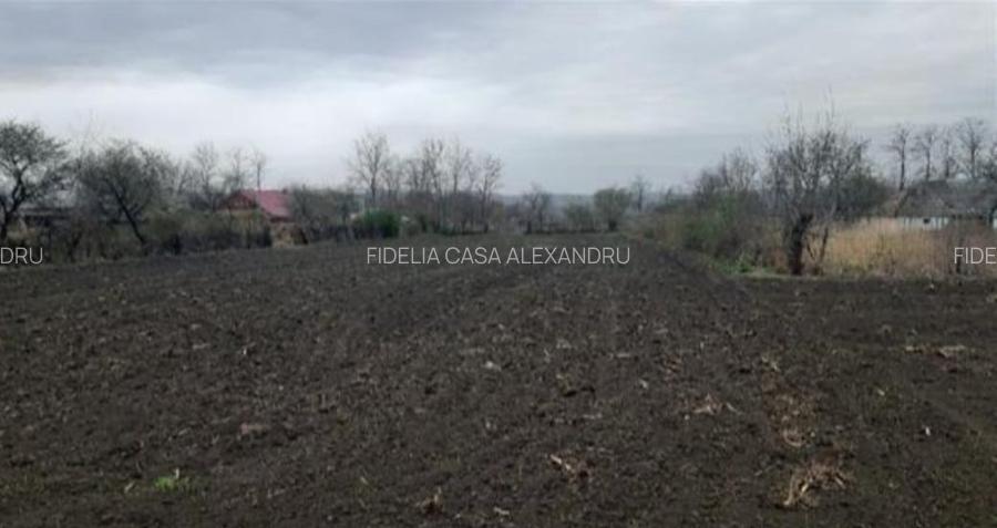 Teren pentru constructii case de vanzare Iasi Prisacani - 7