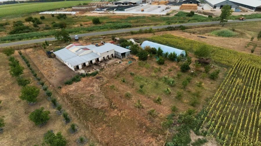 Livadă de 3,6 hectare în Iratoșu – Oportunitate