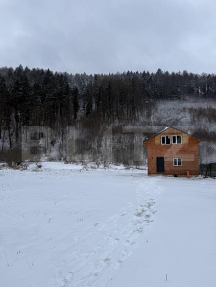 Cabană la munte în inima pădurii la 15 km de Brașov, zona Zizin