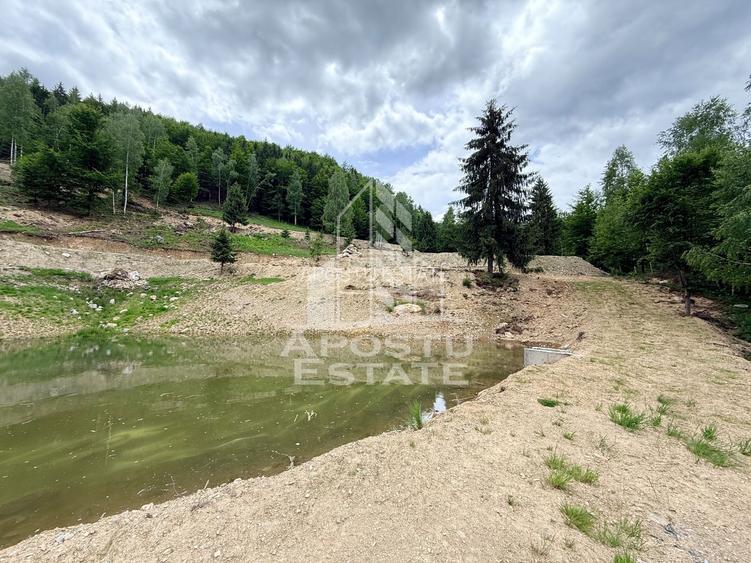 Oportunitate! Domeniu montan, cu lac propriu, oras Lupeni, Hunedoara - 56