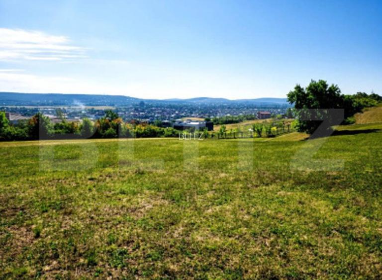Teren de vanzare, 10.000 mp, zona Unirii - 2