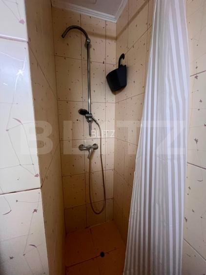 Apartament o camera, 30 mp, etaj intermediar, zona Podu Ros - 11