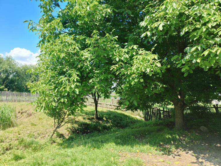 Casa la 5 km de Targu-Neamt - cu iaz si livada matura - gata pentru mutat