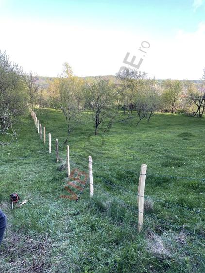 Mihaesti - Sat Draghici, teren intravilan, 7.280 mp