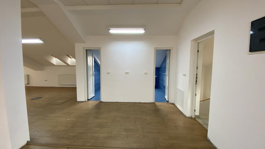 De inchiriat vila zona Take Ionescu,ISHO