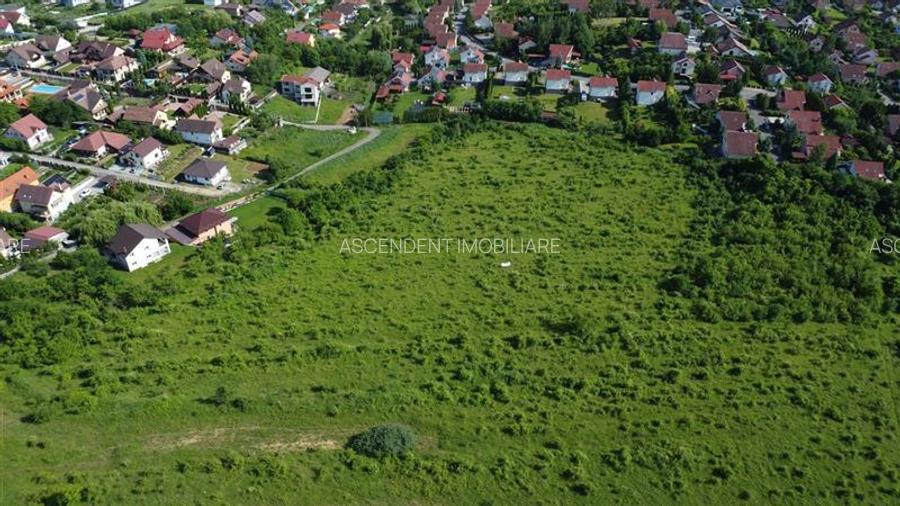 FILM! Teren pretios: 17.200 mp, recomandat investitional/dezvoltare,Livezeni,Mur - 13