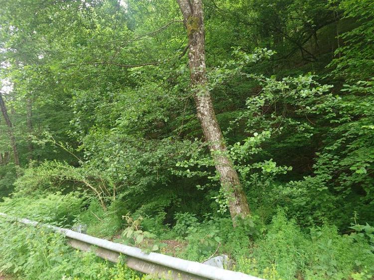 Teren in Bulzestii de Sus 9757mp