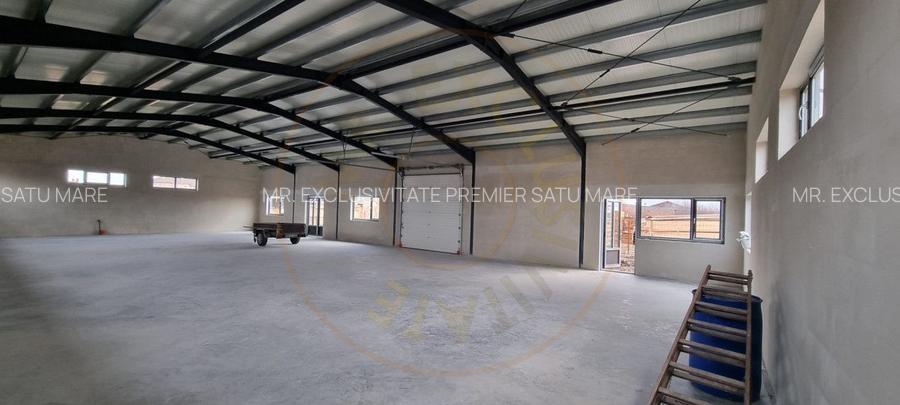 Inchiriere Hală Producție/Depozitare 300 mp, Teren 1791 mp - Carei - 5