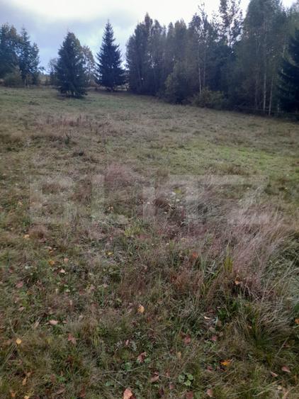 Teren intravilan de vanzare, 2280 mp, Vatra Dornei