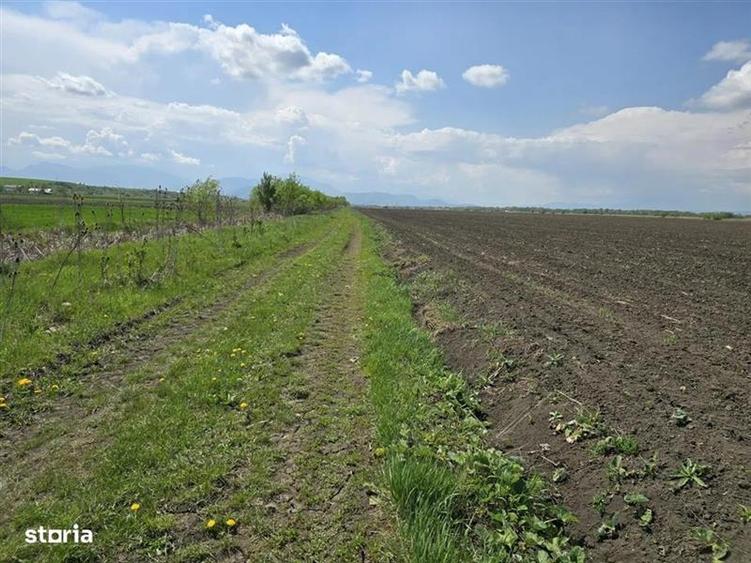 Oportunitate de investiție cu Exclusivitate! BOD, teren agricol!