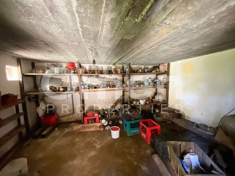 Casa de vanzare in Berinta de 50 mp cu anexa si 22 de ari teren