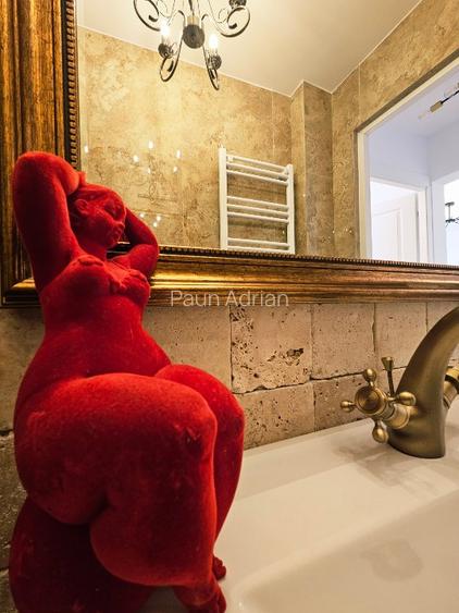 PROPRIETAR 2 camere Piata Victoriei-Dr.Iacob Felix - 8