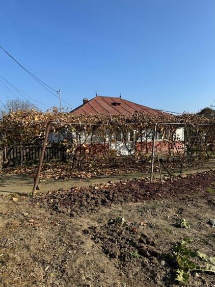 Casa cu 807 mp teren de vanzare, SERBANESTI,  str. Spicului-Bacau