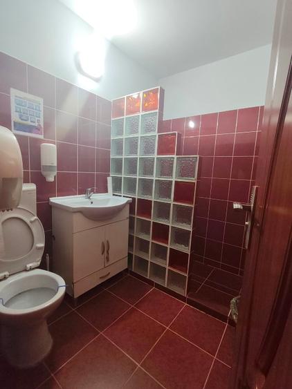 Apartament 4 camere, parter, 2 bai, zona Tei, nemobilat