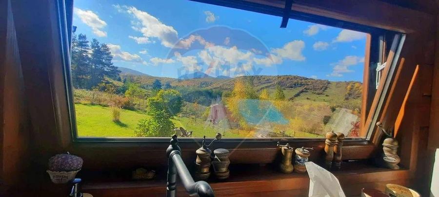 Teren 7160 mp/PUZ/cabana-ideal pentru proiect turistic/glamping