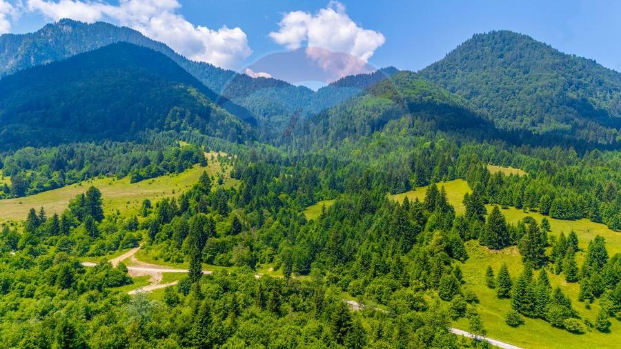 Natură— 18.900 mp în Săcele, cu râu și priveliște montană