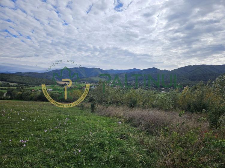 Teren de vanzare ,Tocile, Sibiu, case de vacanta si locuinte