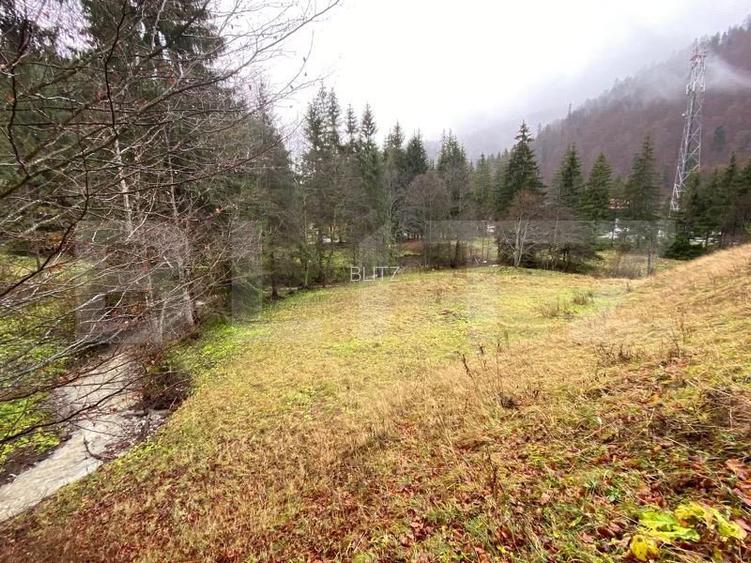 Oportunitate de Investiție: Teren de 10.000 mp la Intrarea în Predeal - 6