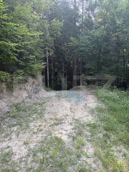 Teren extravilan, 7649 mp, zona Câmpulung Moldovenesc