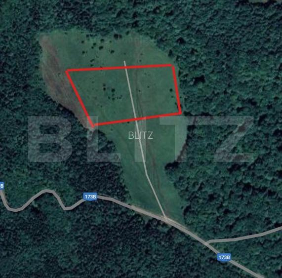 Teren extravilan de vanzare, 2,4 hectare, zona drumul Tarpiului - 4