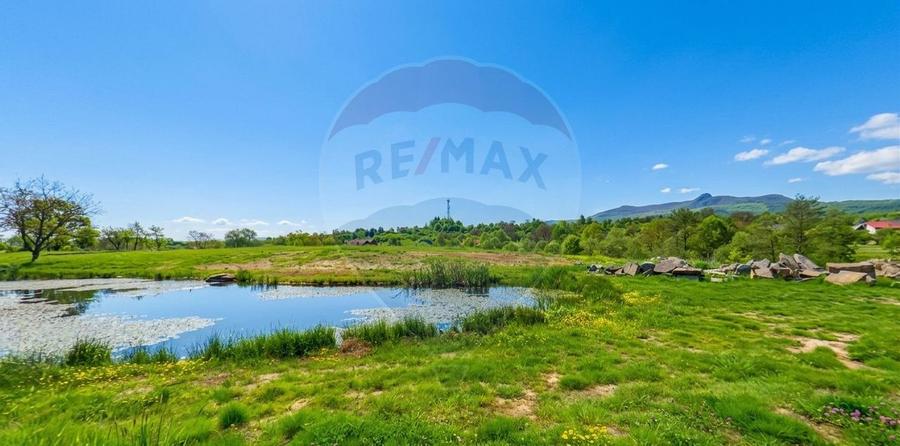 Casă cu 4 camere de vânzare/ localitatea Mara