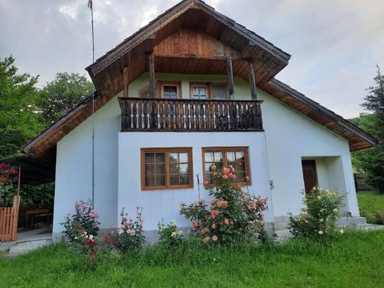 CASA DE VACANTA/CABANA DE VANATOARE
