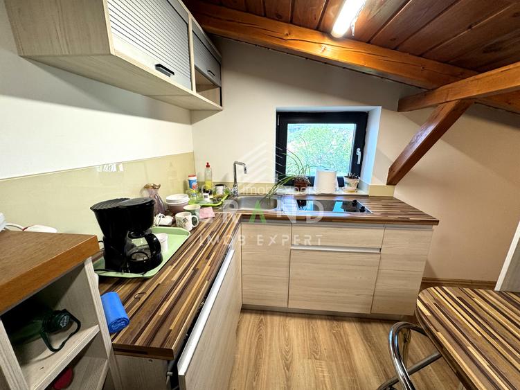 Spații administrative/birouri+posibil locuință | 271 mp | Iris–Piața 1 Mai - 42