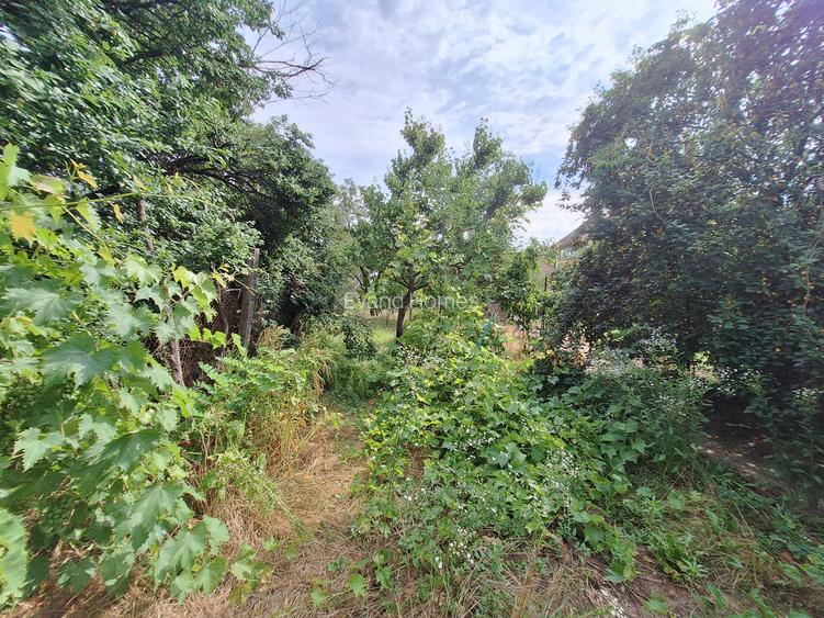 Casa tip duplex cu gradina generoasa-beci+bucatarie de vara+anexe –Zona Lunei - 13