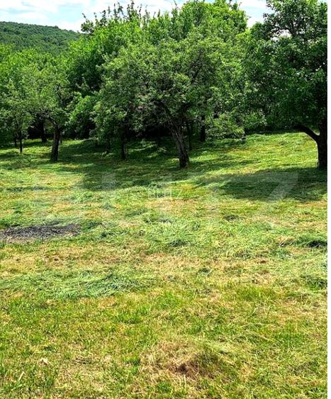 Teren intravilan, 1.518 mp în Feleacu – Confort, natură și utilități complete - 6