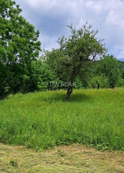 Prahova-Cosmina de Sus, Teren cu casa p+1 - 8