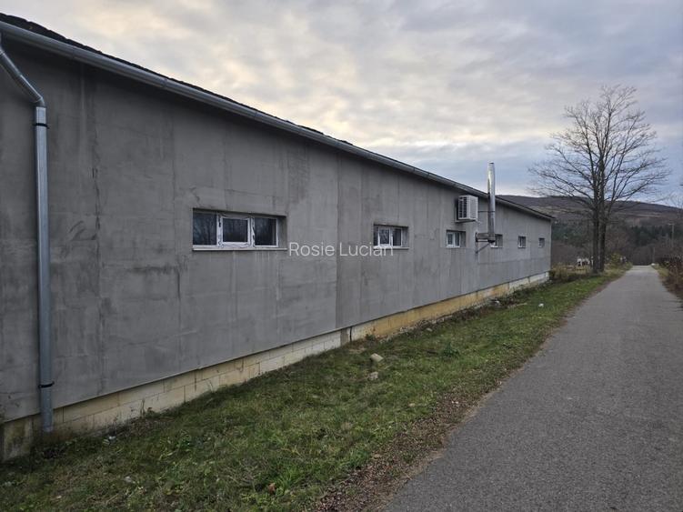 Vânzare HALA INDUSTRIALĂ  - 7