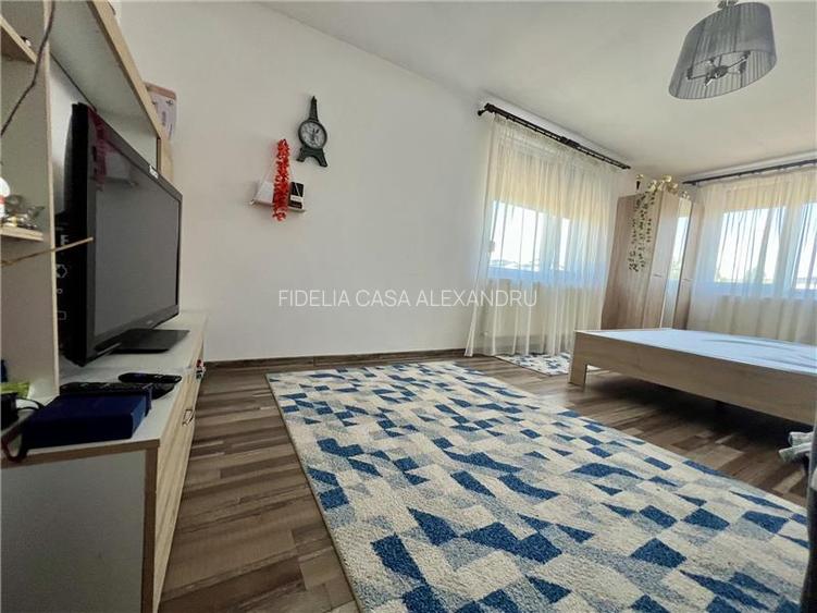 Vila  de vanzare  Lunca Cetatuii, - 10