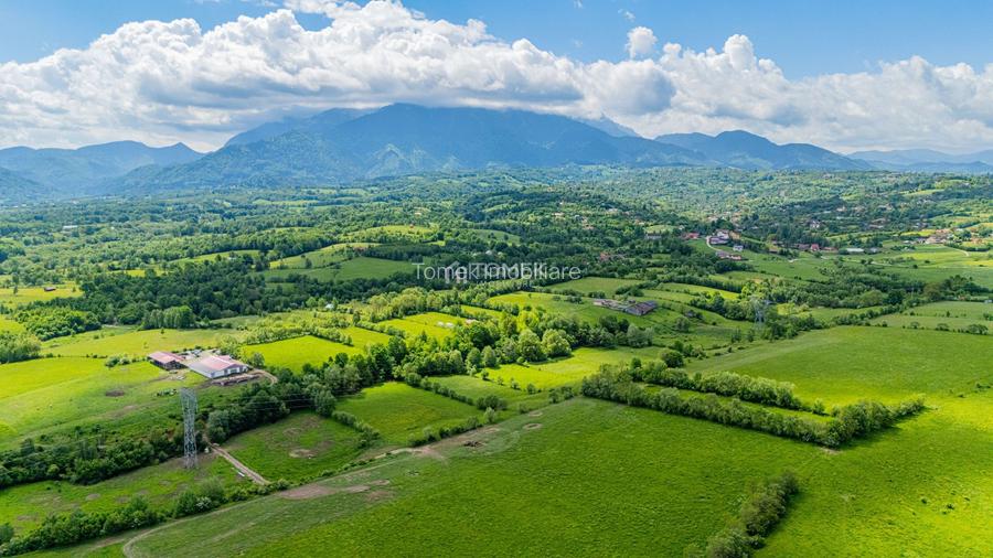 Teren de investiție în zona Tohanul Nou - Bran  5.800 mp - 10