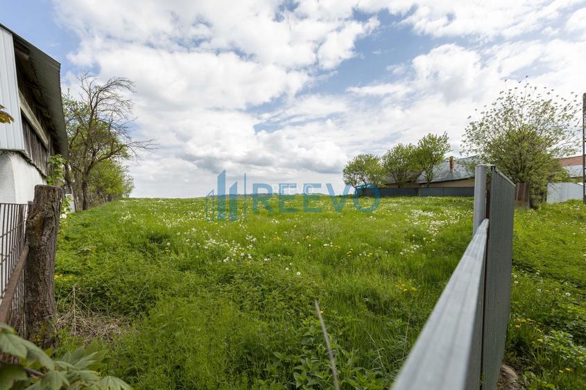 Teren intravilan 4.000 mp Blăgești, Bacău - 9