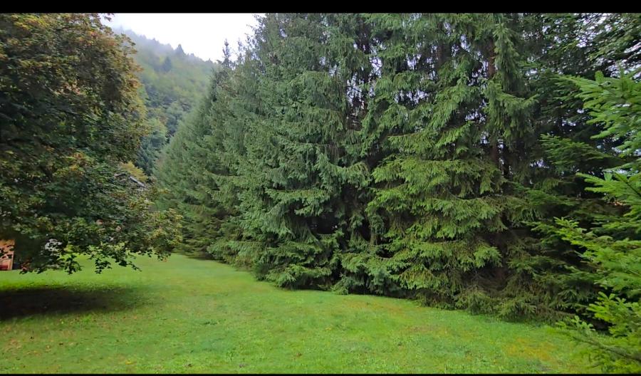 Vila  superba Sinaia, suprafata 627mp cu gradina parc4000 mp
