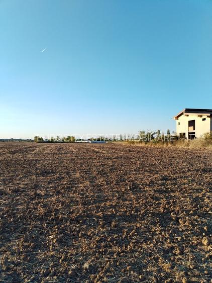 Ciolpani, spre Izvorani - COR, vanzare teren 5000mp. - 3