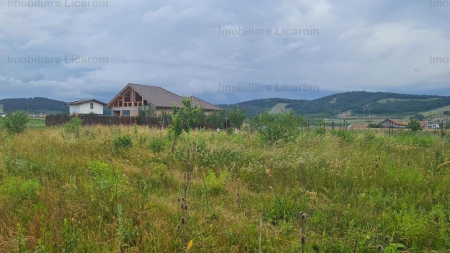 De vanzare teren 502 mp Harman Aleea 14 pret 40000 euro